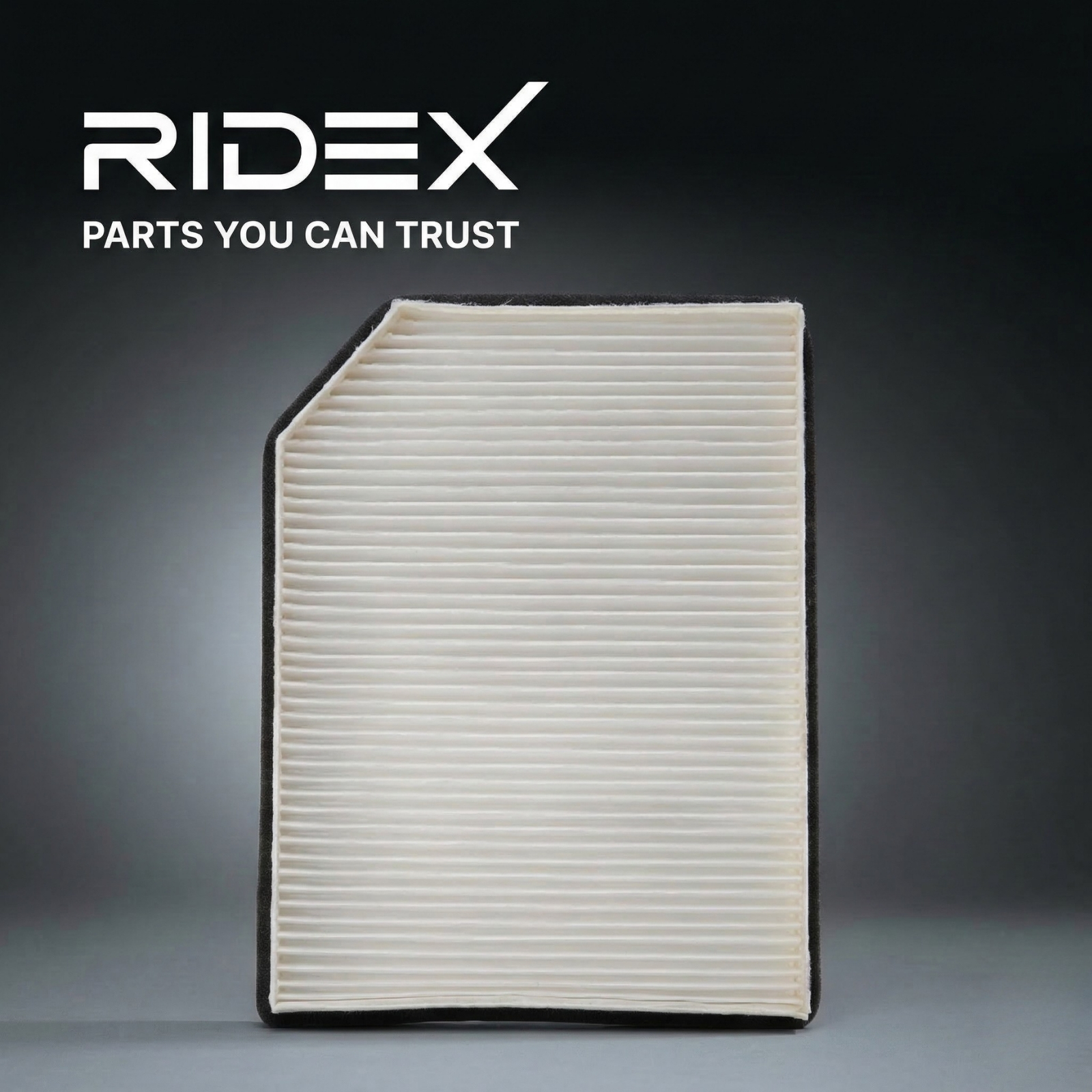 RIDEX 42410244 Cabin Air Filter (Pollen Filter) – High-Efficiency Interior Air Filtration