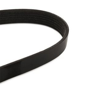 06H903137C V BELT European German Vehicle Performance System