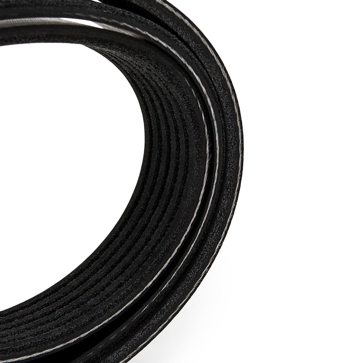 06H903137C V BELT European German Vehicle Performance System