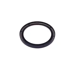 11117587168 Rear Crankshaft Seal For BMW