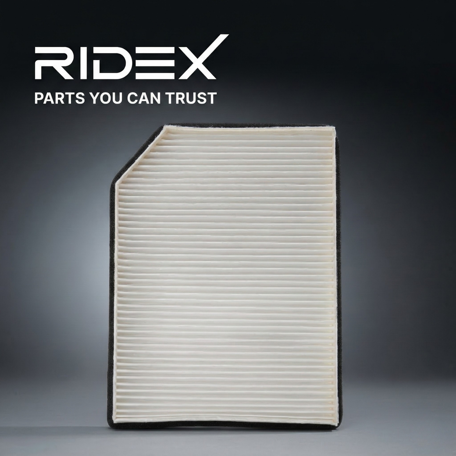RIDEX Cabin Air Pollen Filter 424I0646 – High Efficiency Interior Air Filtration